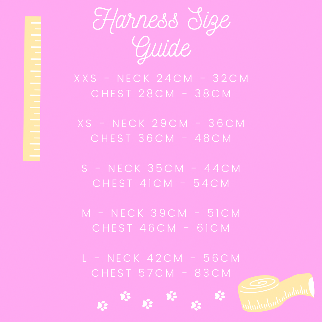 Beige Paw Look | Harness (XXS)