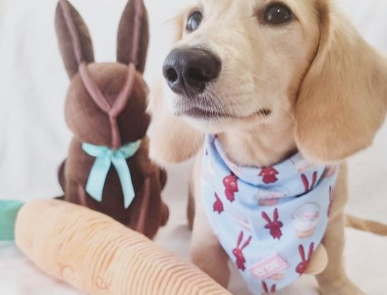 Chocolate Bunny | Bandana (One size fits all)