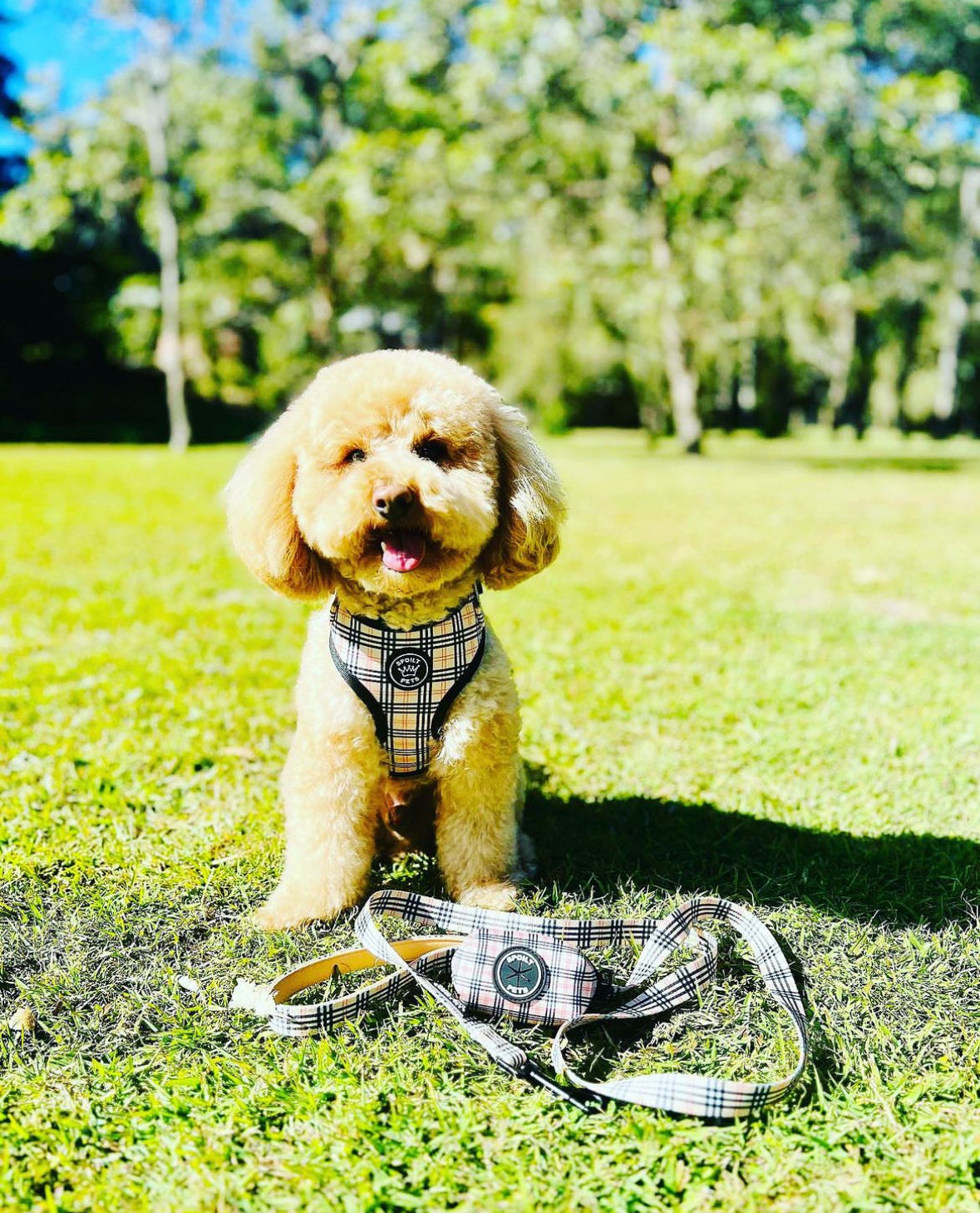 Beige Plaid Matching Leash