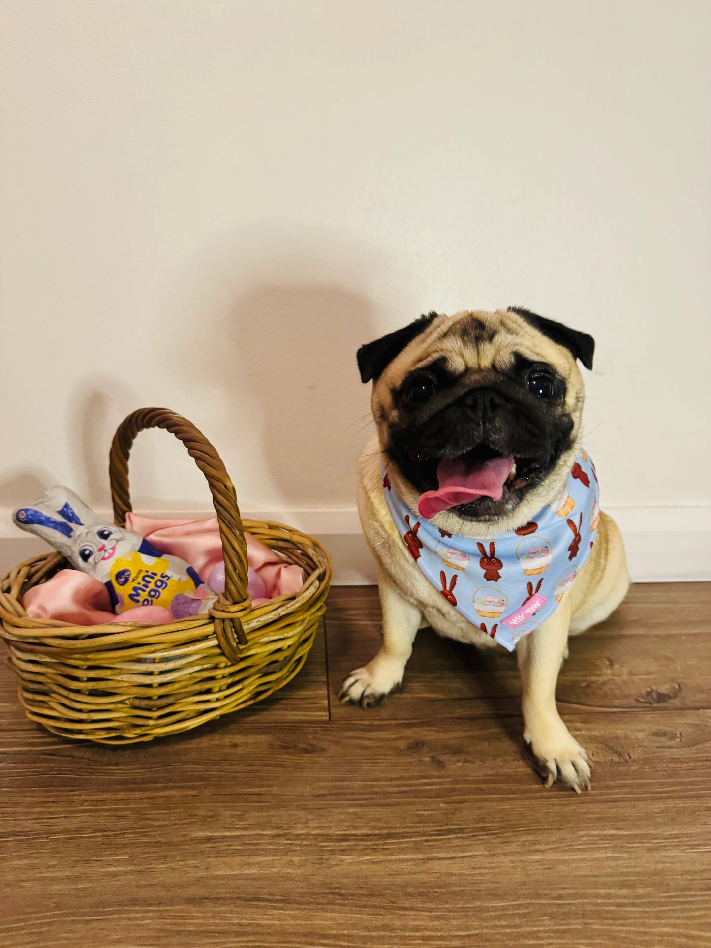 Chocolate Bunny | Bandana (One size fits all)