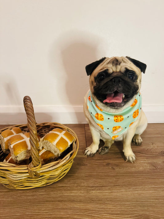 Hot Cross Buns | Bandana (One size fits all)