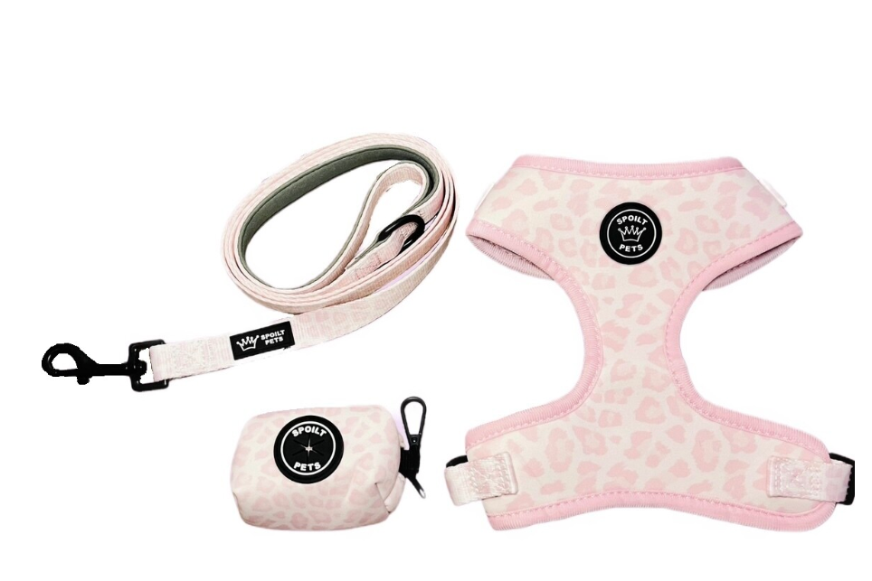 Pink Pastel Cheetah | Bundle Set (S)